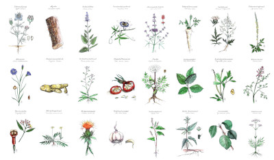 Adventskalender 2021